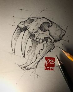 a pencil drawing of a skull with large teeth