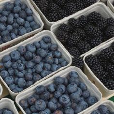 blueberries and raspberries are in plastic containers