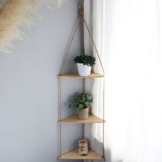 three wooden shelves with plants on them in front of a white curtain and window sill