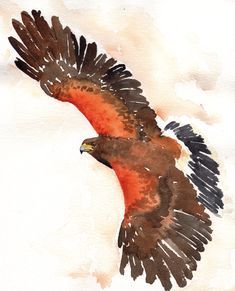 a painting of a bird flying in the sky