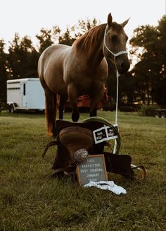 Western pregnancy announcement with horses Western Landscape Ideas, Western Gender Reveal Photoshoot, Country Baby Announcing Ideas, Winter Western Maternity Pictures, Gender Reveal With Horses, Western Baby Announcement Photos, Cowboy Baby Announcement, Western Baby Pictures