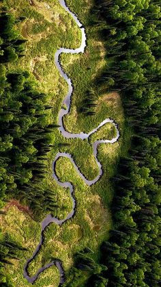 an aerial view of a winding road in the woods