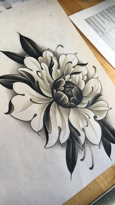 a drawing of a white flower on paper