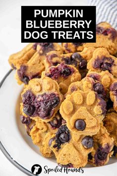 pumpkin blueberry dog treats on a plate with text overlay that reads, pumpkin blueberry dog treats