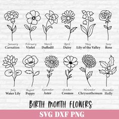 the different types of flowers that can be found in this svg dxf file