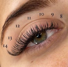 Eyelashes Tattoo, Eye Lash Tattoo, Lash Maps, Seni Resin