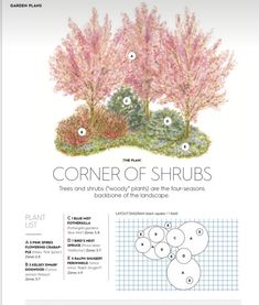 the corner of shrubs is shown with instructions