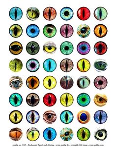 an image of many different colored eyes