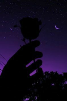 the silhouette of a person's hand holding a flower in front of a night sky