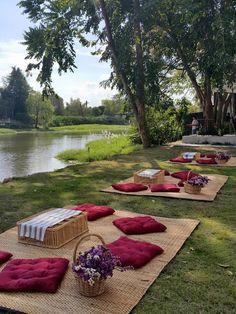 some red and white pillows sitting on top of a grass field next to a lake