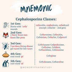 a poster with the names of different types of mementoic words and pictures on it