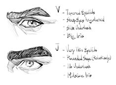 three different types of eyeliners and how to draw them