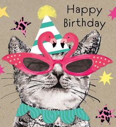 a cat wearing sunglasses and a hat with flamingos on it's head, says happy birthday