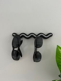 two sunglasses are hanging on the wall next to a potted plant