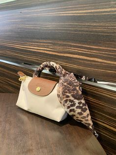 Longchamp Pouch Aesthetic, Longchamp Pouch, Longchamp Outfit, Cute Small Bags