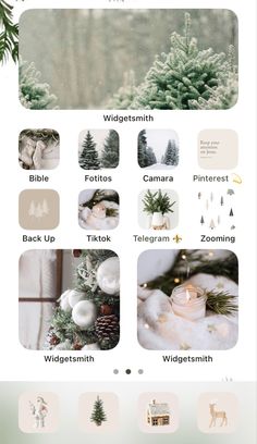 the christmas tree is decorated with white and green decorations, including pine cones, evergreens,