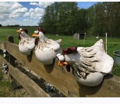 three white chickens sitting on top of a wooden fence in front of a green field