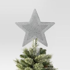 a silver star decoration on top of a small christmas tree in a potted plant