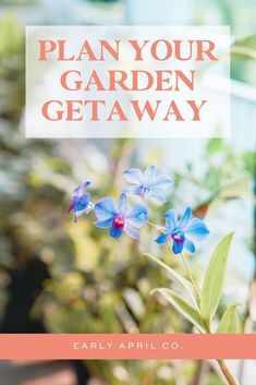 blue flowers with the words plan your garden getaway