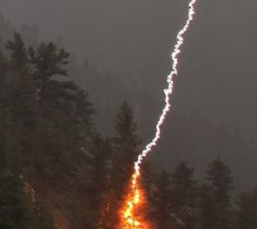 a long line of fireworks in the sky above trees