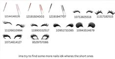 the different types of eyelashes and how they are used to make them look like they're