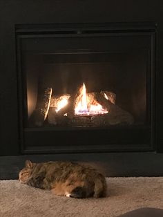 a cat laying on the floor in front of a fire place that is lit up