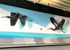 two birds painted on the side of a wall in an airport terminal area with benches