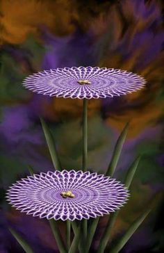 three purple flowers with green stems in the foreground