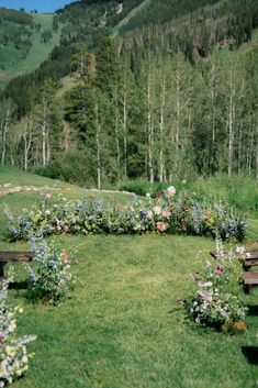 an empty park with benches and flowers in the middle