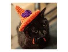 a black cat wearing an orange knitted hat