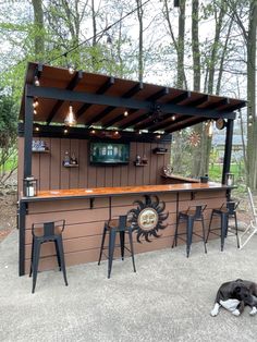 a dog laying on the ground in front of a bar with stools and lights