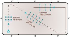 a diagram showing the direction of an object in front of a line with arrows pointing up and down