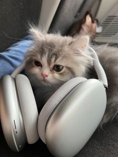 kitten Airpod Max Stickers Aesthetic, Airpods Max Celebrities, Airpod Max Aesthetic, Airpod Maxes, Cat With Headphones, Max Aesthetic, Airpod Max, Cute Birthday Ideas, Airpods Max