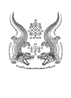 an image of two lizards with symbols in the background