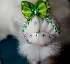 a small white dog with a green bow and some jewels on it's head