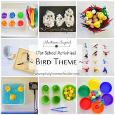 there are many different activities to do with the bird theme