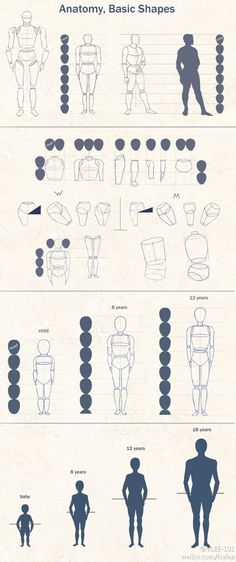 an info sheet shows the different types of body shapes and how they are used to make them