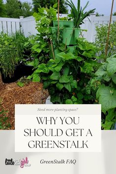 a garden filled with lots of green plants next to a white sign that says why you should