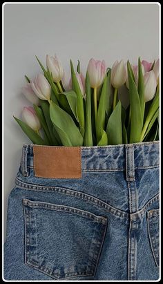 Discover genius jeans storage ideas to organize your wardrobe effortlessly! Maximize space and style with creative solutions for a clutter-free closet. Laydown Photography, Denim Display, Flatlay Clothes, Denim Photoshoot, Cherry Baby