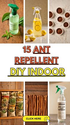 an assortment of diy products with the words 15 anti repellent diy indoor