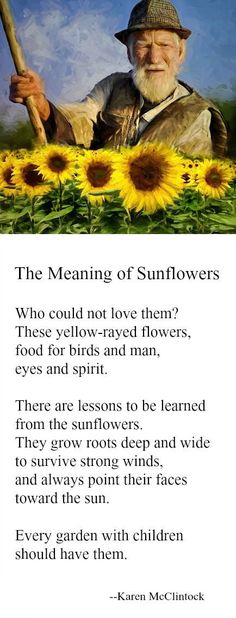 the meaning of sunflowers is shown in an image with words above it and below it