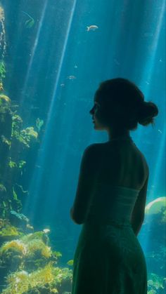 a woman standing in front of an aquarium looking at the fish and algaes below