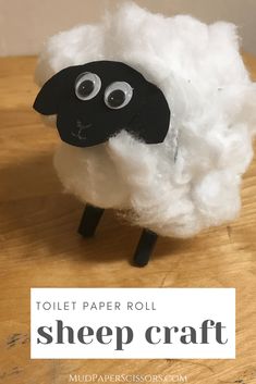 toilet paper roll sheep craft with text overlay that reads toilet paper roll sheep craft