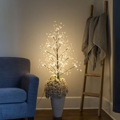 Black Fairy Light Tree in Reading Nook Accent Light, Fairy Light, Accent Lighting, Tree Lighting, Reading Nook, Light Led