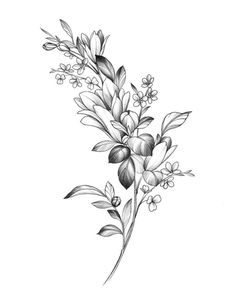 a black and white drawing of flowers