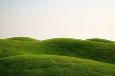 the green hills are covered with grass