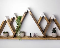 a shelf with some plants and rocks on it