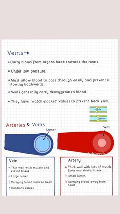 an info sheet with different types of blood vessels