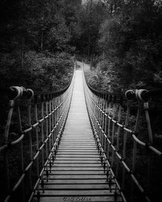 a black and white photo of a suspension bridge in the middle of a wooded area