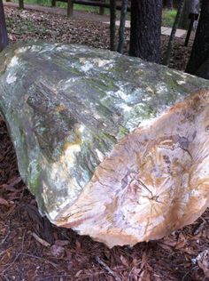 a large piece of wood sitting in the middle of some leaves and mulchs